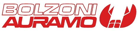 BOLZONI